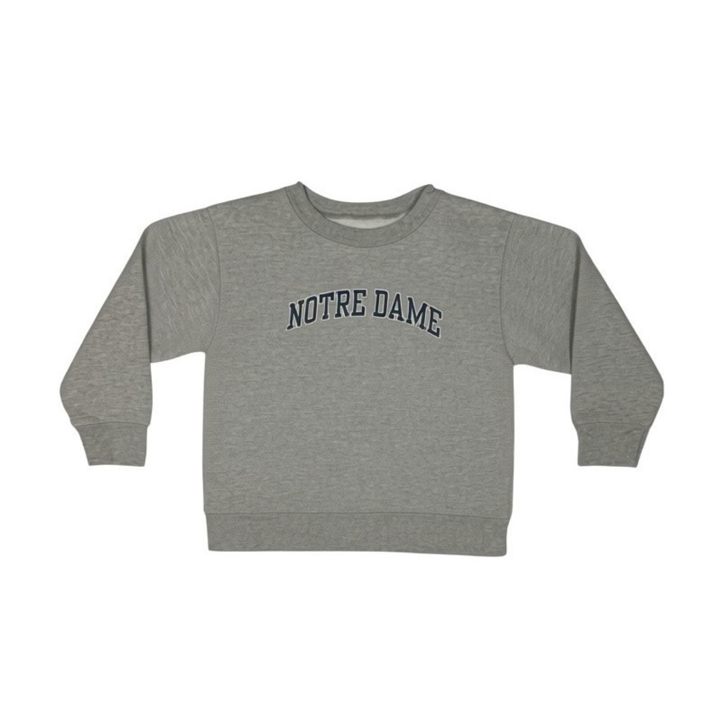College Kids Notre Dame Sweatshirt Gray Excellent 4T Kids